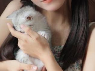 51吃瓜朝阳群众网页深度解析，带你走进吃瓜现场