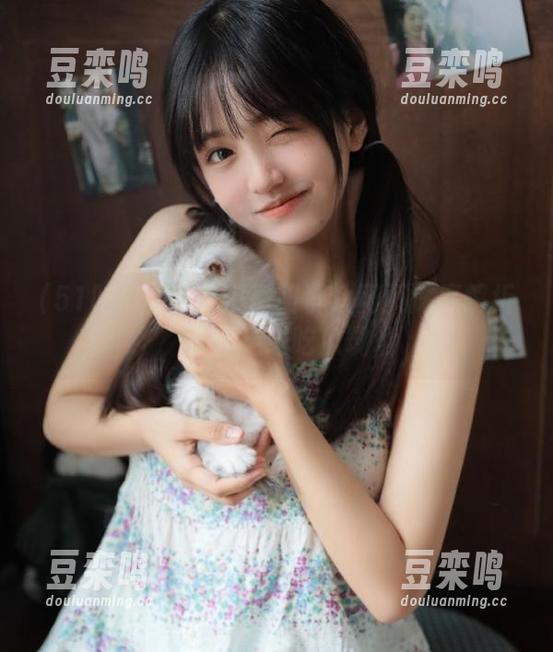 51吃瓜朝阳群众网页深度解析，带你走进吃瓜现场