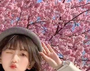 51吃瓜导航精选我的女房东热搜事件解析