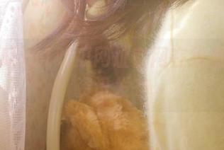 91吃瓜网址官网在线最全吃瓜资讯发布