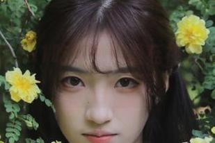 91吃瓜热门蘑菇视频网站下载安装全流程