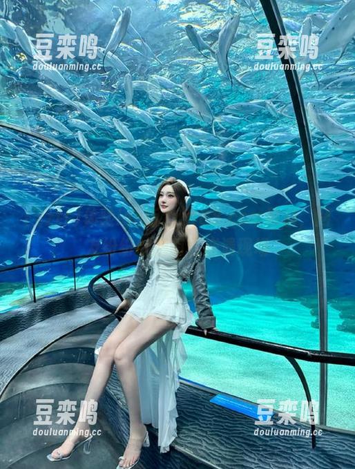 zztt 体验ios版zztt88.ccm黑料,网友纷纷吐槽简直崩溃现场