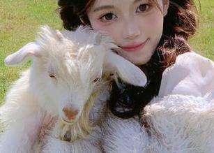 借助五一吃瓜浏览器，直达最新爆笑瓜闻，乐享假期时光！