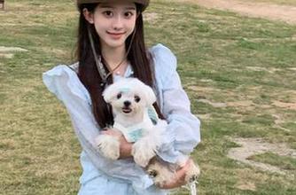 这个“黑料不打烊tttzzz入口”真是特别，立志永久为吃瓜群众提供无限惊喜！