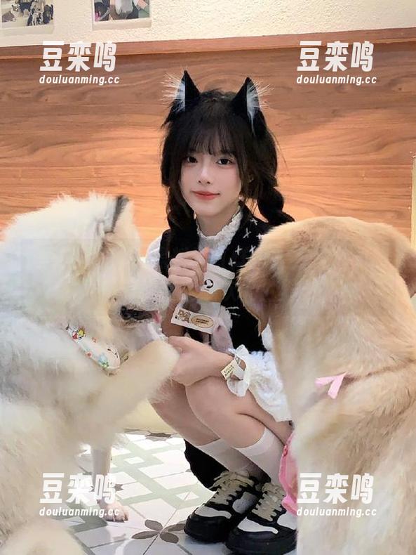 黑料不打烊进入方式苹果版带你畅游二次元世界