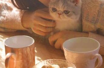 想第一时间看黑料吃瓜网页？探花为你准备观看链接